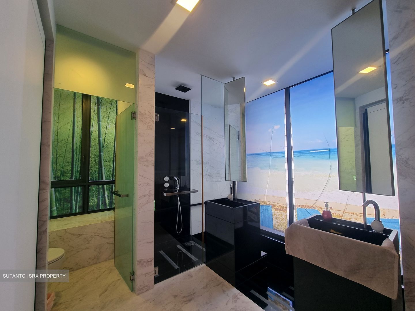 The Trizon (D10), Condominium #593693571